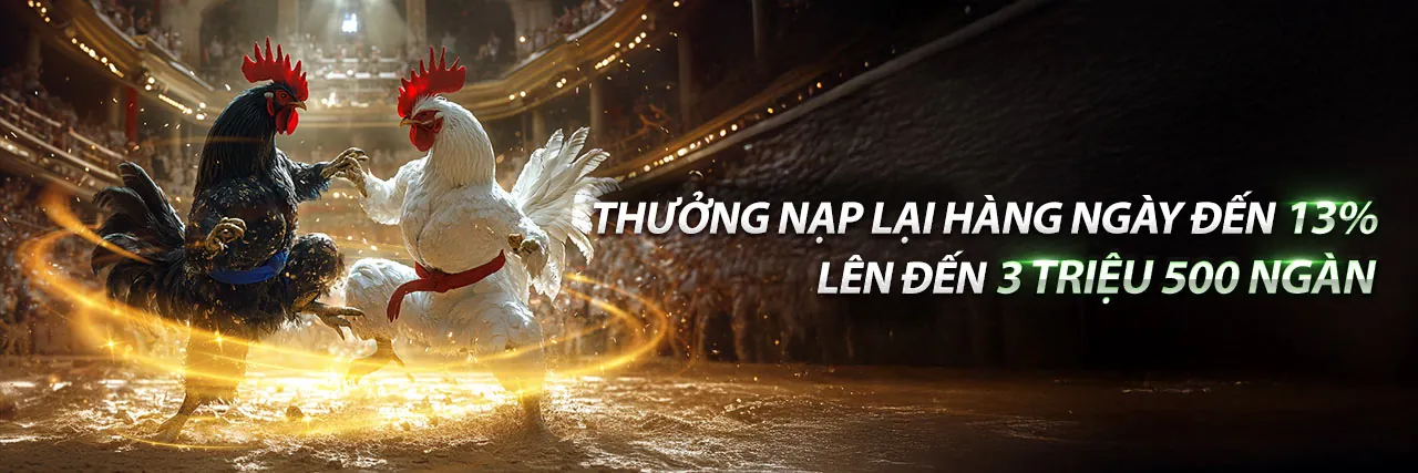 Trực Tiếp Đá Gà Hôm Nay tại VN58VIP